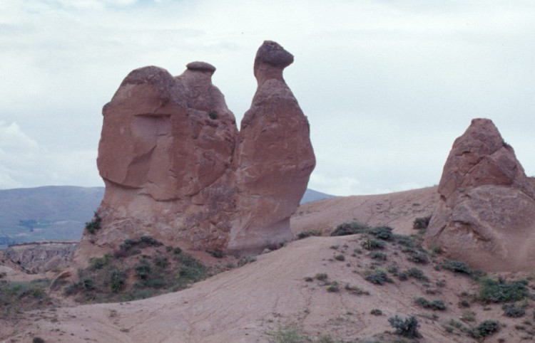 cappadocia-camel-Scan638
