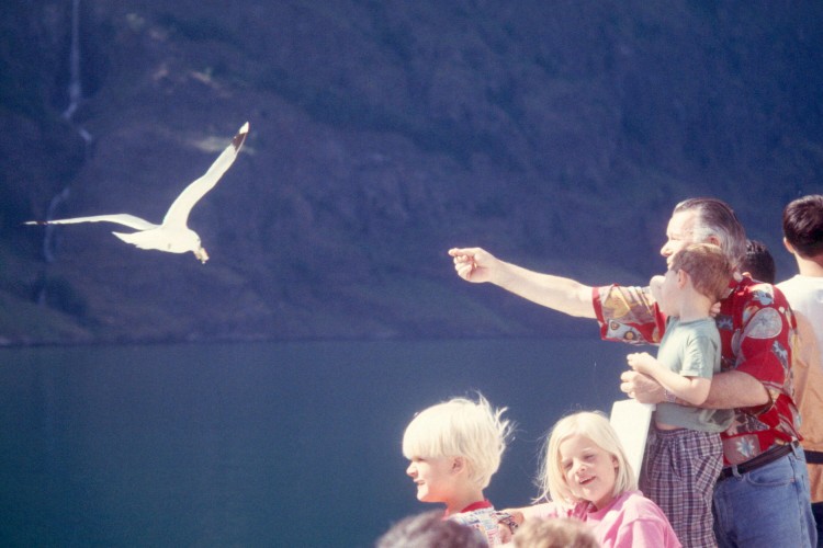 fjord1-sogne-cruise-boy-seagull-Scan2174