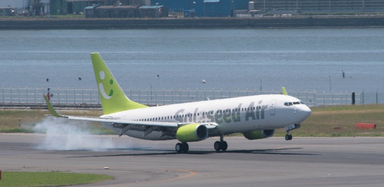 B737-800-HND-landing