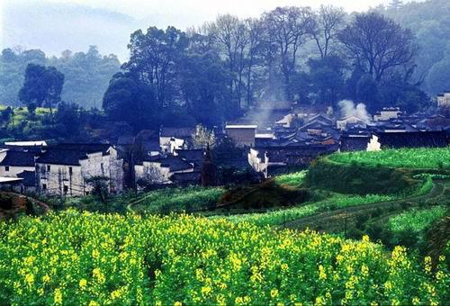 중국18경中国最美的乡村婺源.jpg