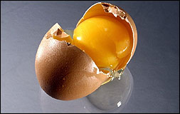 썩은달걀.jpg