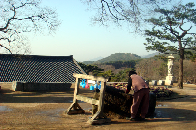 용봉산 086.jpg