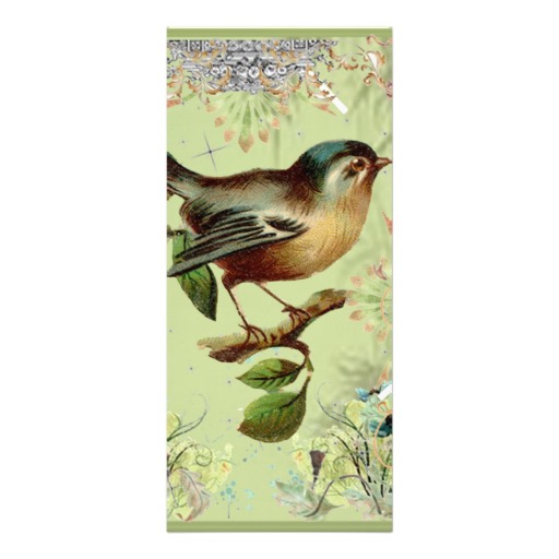 vintage_green_bird_and_pink_elegant_ribbons_rackcard-r4946551db55c421caa1ce0af43095036_vgvr1_8byvr_512.jpg