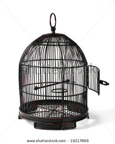 stock-photo-old-birdcage-with-open-door-19217869.jpg