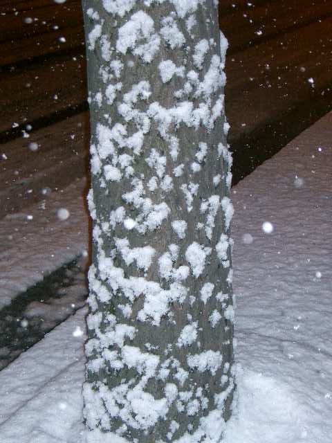 snow_016.jpg