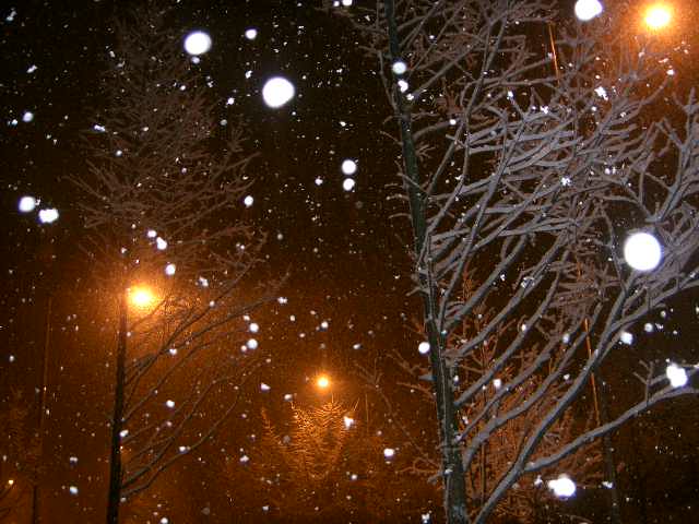 snow_023.jpg
