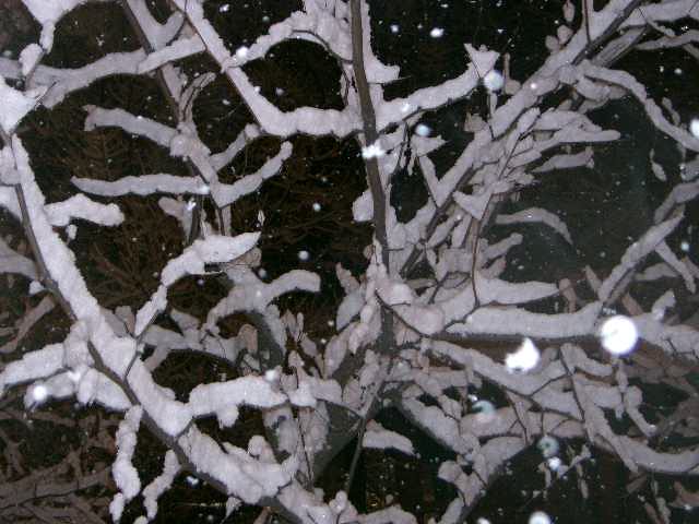 snow_028.jpg