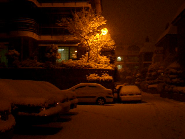 snow_041.jpg