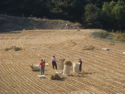 지리산_081.jpg