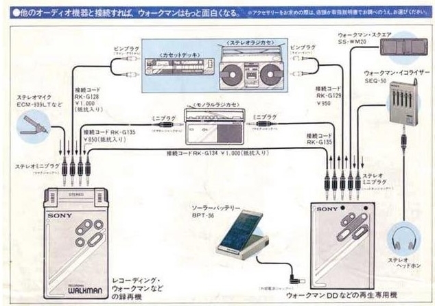 P7.jpg