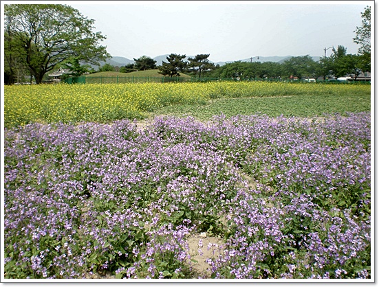 경주16.JPG