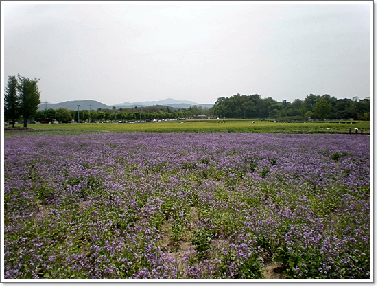 경주17.JPG