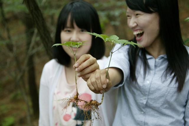 7.산삼캐기_체험.JPG