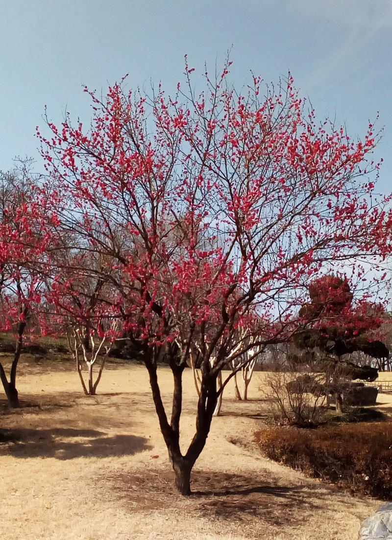 20170303_124717위