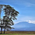 Kenya, Amboseli Park 1-1
