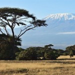 Kenya, Amboseli Park a2