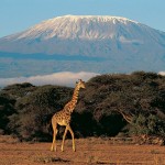 Kilimanjaro-Tanzania