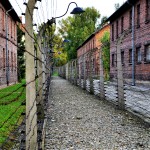 2, Poland, Auschwitz (철망 통로)