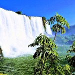 Iguazu falls 1-3