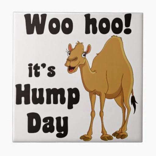 요일 이름 It’s Hump Day 오늘은 수요일 이상봉의 그림자.