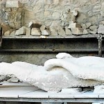 Pompeii 석고