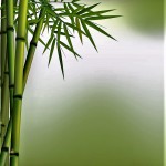 Zen bamboo 1-2