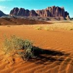 desert, waste land