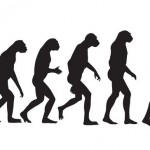 Human evolution 1-1
