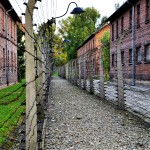 Poland, Auschwitz 126 (철망 통로)