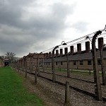 camp 2, fence and ground