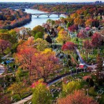 Laurel Hill cemetery