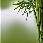 Zen bamboo 1-2 (2)