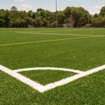 grass soccer field 2