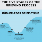 Grief cycle 2