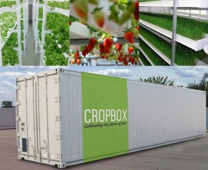 cropbox-shipping-container-farm_jpeg_662x0_q70_crop-scale